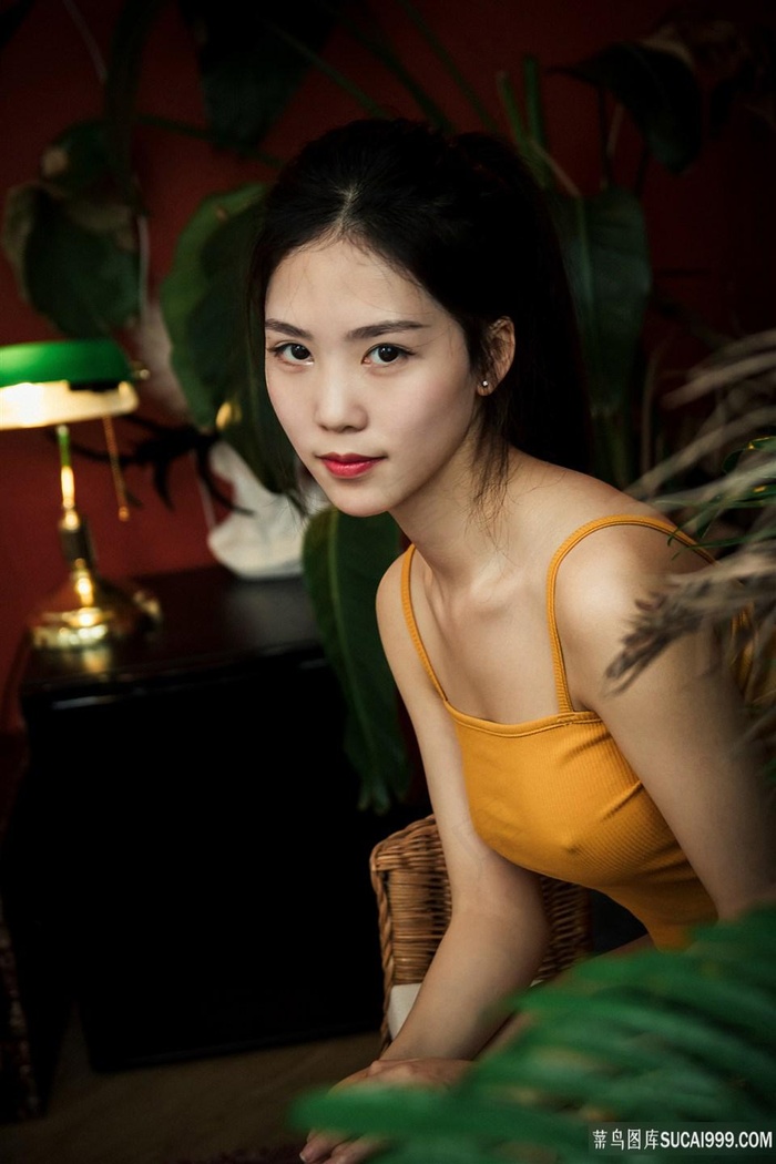 鸥美三级